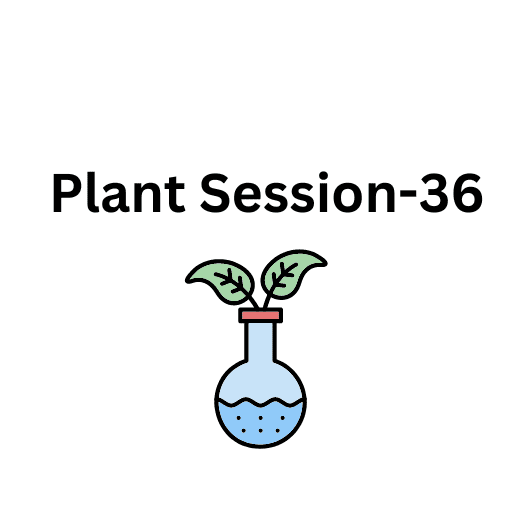 Plant Session-36